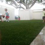 Synthetic Lawn Company Coronado, Top Rated Artificial Turf Installation Company