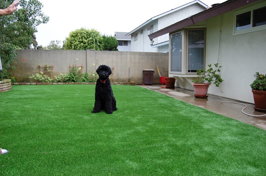 Synthetic Lawn Pet Turf Coronado, Top Rated Artificial Grass Installation for Dogs