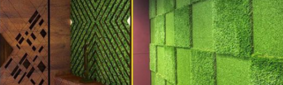 ▷5 Tips To Cover Your Wall With Artificial Grass Coronado