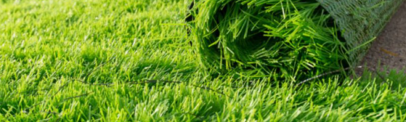 ▷7 Benefits Of Artificial Grass In Spring In Coronado