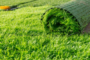7 Benefits Of Artificial Grass In Spring In Coronado