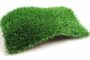 5 Reasons To Use Artificial Grass For Your Feature Wall In Coronado