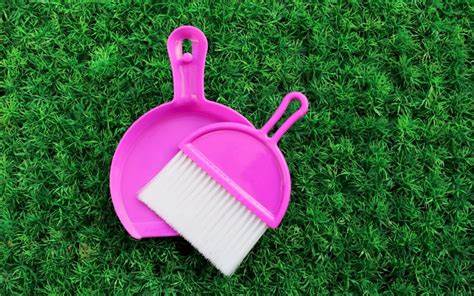 5 Tips To Clean Artificial Grass In Summer In Coronado