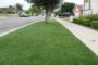 5 Tips To Install Artificial Grass Around Trees In Coronado