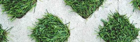 ▷5 Tips To Use Artificial Grass For Your Feature Wall In Coronado