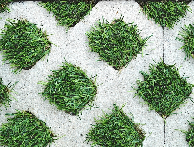 5 Tips To Use Artificial Grass For Your Feature Wall In Coronado