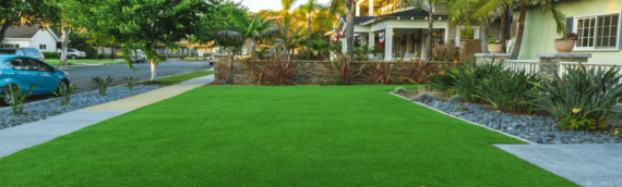 ▷How To Create Low Maintenance Lawn With Artificial Grass In Coronado?