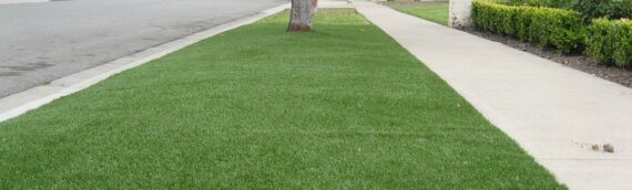 ▷How To Install Artificial Grass On Old Concrete Patio In Coronado?